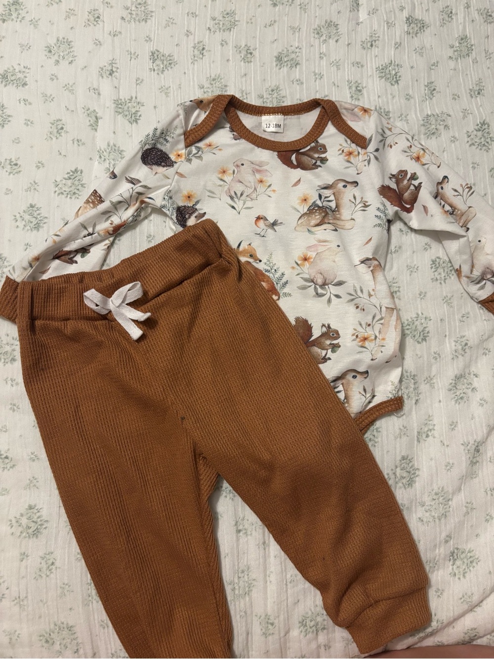 Woodland Animal Bodysuit & Rust Knit Pants Baby Set